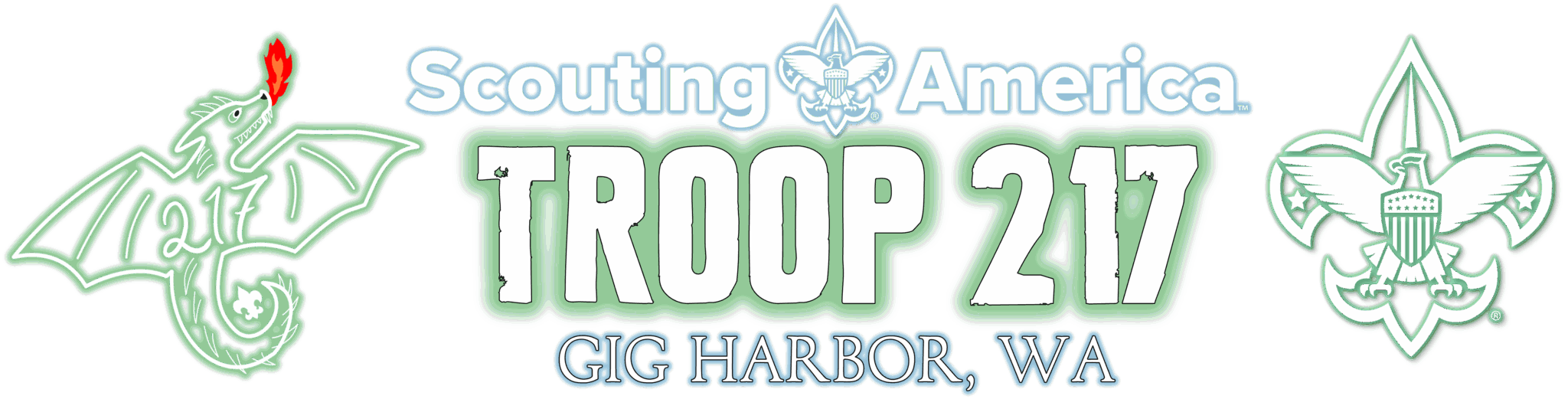 Scouting America Troop 217 Logo